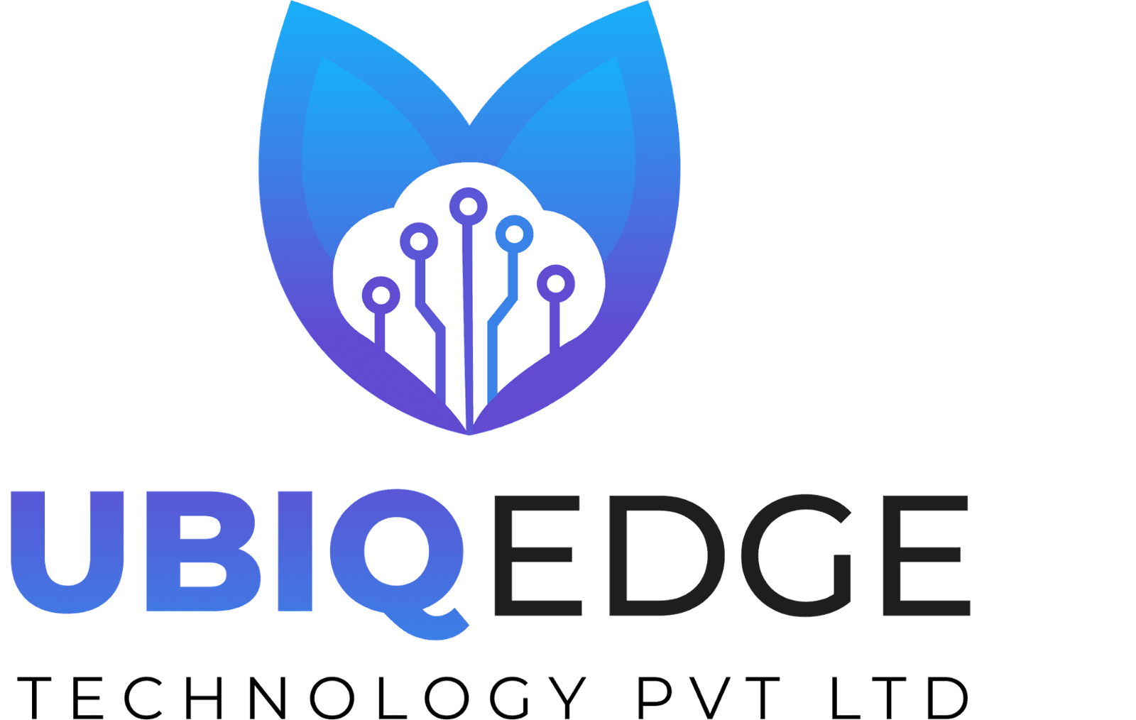 ubiqedge.com